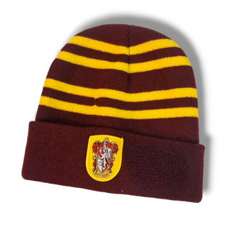 Harry potter hat