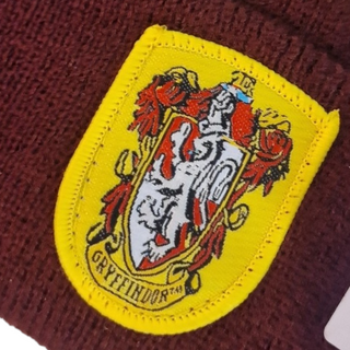 Harry potter hat