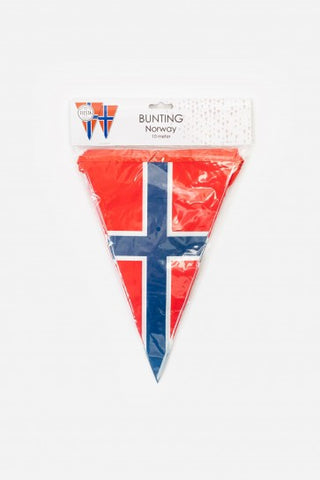 Flaggvimpel Norge 10 meter