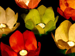 Floating Lanterns Mix 1-pack, unsorted