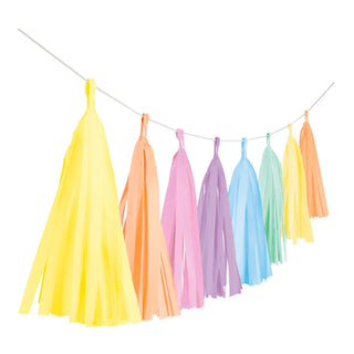 Tassel Balloon accessories