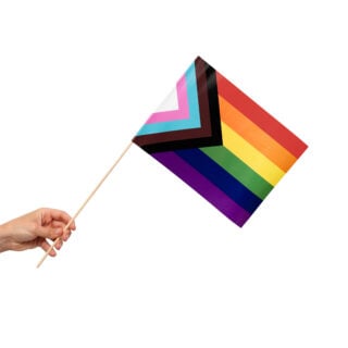 Handhållna Pappersflaggor Pride