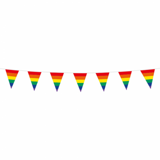 Mini Pennant Rainbow 3m