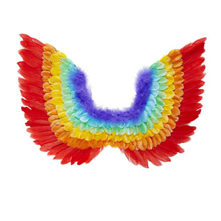 Vingar Pride Regnbåge (60 x 50 cm)