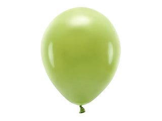 Eco ballonger 100pack 30cm
