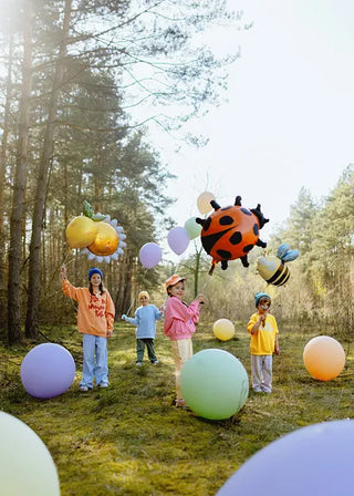 Heliumballong Nyckelpiga 66 x 64,5 cm
