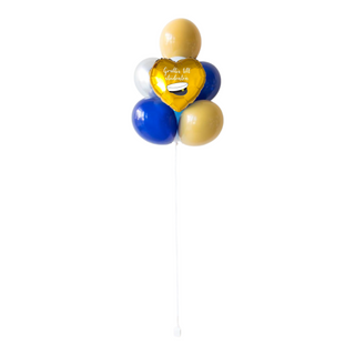 Studentballong 11