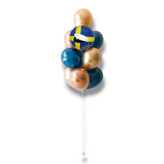 Studentballong 20