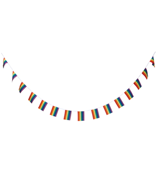 Flag pennant Rainbow colored Pride 5m