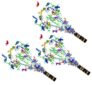 Konfettikanon Lyx string